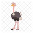Hen Chicken Bird Icon