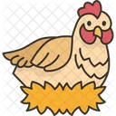Hen Chicken Poultry Icône