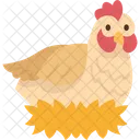 Hen Chicken Poultry Icône