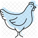 Hen Bird Farm Icon