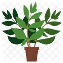 Henna Potted Plant  Icon