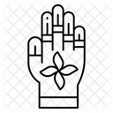  Icône