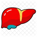 Hepatic Organ Vital Organ Hepatic Gland Icon