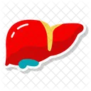 Hepatic Organ Vital Organ Hepatic Gland Icon