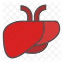 Hepatitis Liver Hepatology Icon