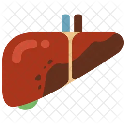 Hepatitis  Icon