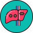 Hepatitis Liver Cancer Liver Infection Icon