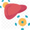 Hepatitis Viral Liver Icon