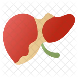 Hepatología  Icono