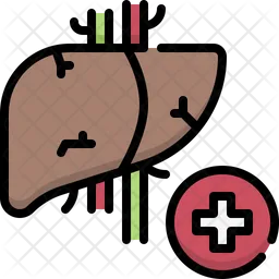 Hepatología  Icono