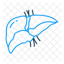 Hepatología  Icono