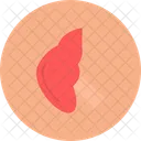 Hepatologie Vivre Desintoxication Icon