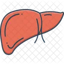 Hepatologie Anthropomorphe Behandlung Symbol