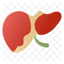 Hepatologie  Symbol