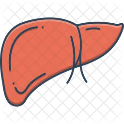 Hepatology  Icon