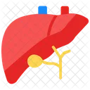 Hepatology Hepatic Liver Icon