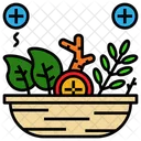 Herb Herbal Natural Icon