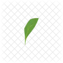 Herb Leaf Vector Icon