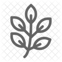 Herb Leaf Natural Icon