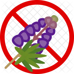 Herb  Icon