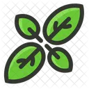 Herb Leaf Basil Icon