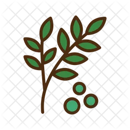 Herb  Icon