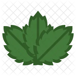 Herb  Icon