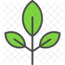 Herb Branch Game Icon