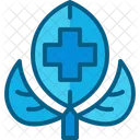 Herb Herbal Medicine Icon