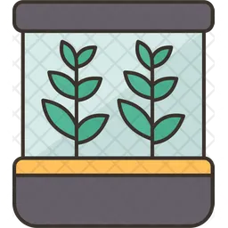 Herb  Icon