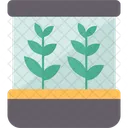 Herb  Icon