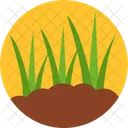 Herb Grass Weed Leaf Icon