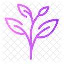 Herb Herbal Alternative Icon