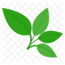 Vegetable Vitamin Healthy Icon