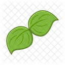 Herb Leaf Nature Icon