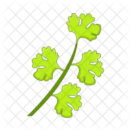 Herb Leaf  Icon