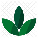 Healthy Herb Leaf Icon