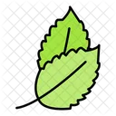 Leaf Herb Healthy Icon