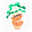 Herb Stickers Herbal Therapy Herbal Remedies Icon