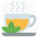 Herbal Tea Medical Icon