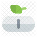Herbal caplet  Icon