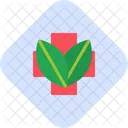 Herbal Alternative Medicine Therapy Icon
