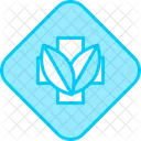 Herbal  Icon