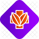 Herbal  Icon
