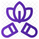 Herbal  Icon