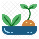 Herbal  Icon
