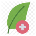 Herbal  Icon
