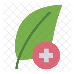 Herbal  Icon