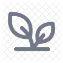 Herbal  Icon