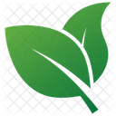 Herbal Leaves Design Leaves Logo Eco Leaves Icon